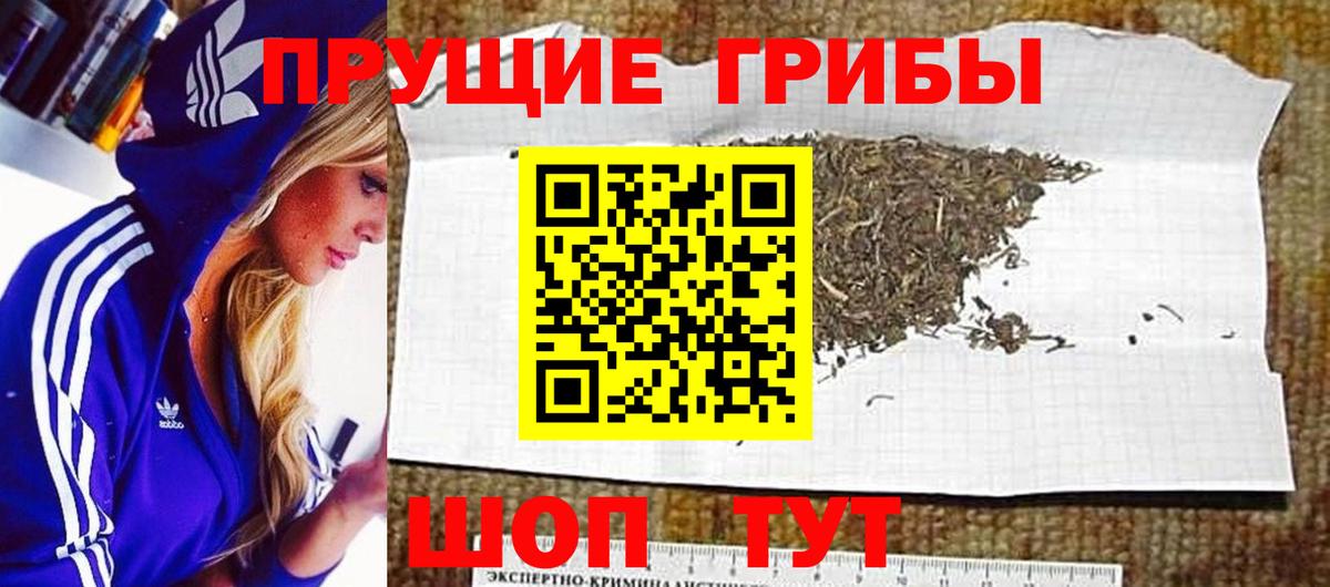 Псилоцибиновые грибы Psilocybine cubensis Назарово
